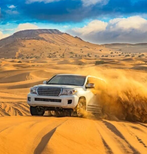 Standard-Desert-Safari-dubai