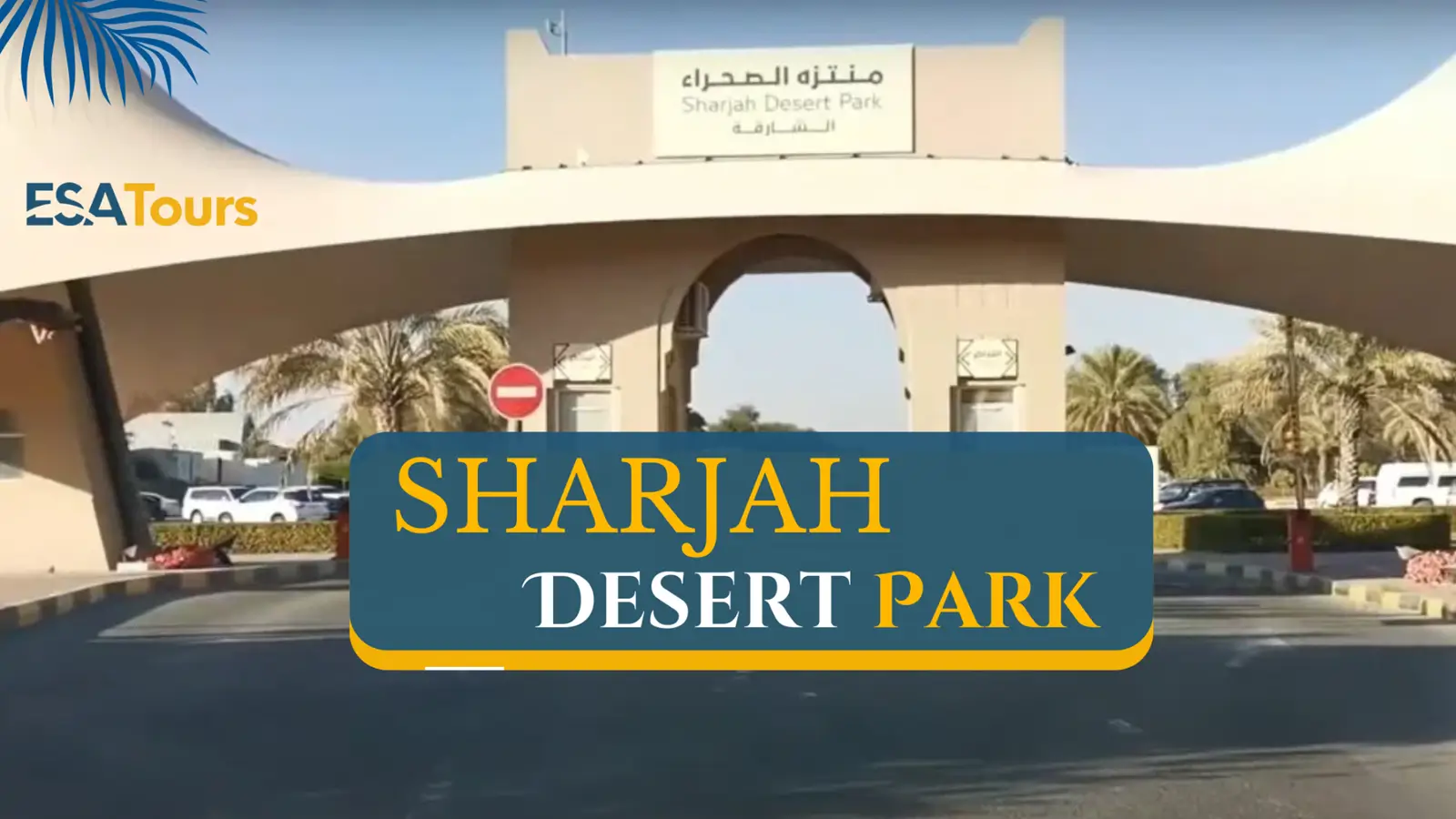 Sharjah Desert Park – Everything You Need to Know