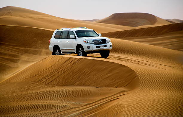 Types of Desert Safari in Dubai – A Complete Guide by ESA Tours